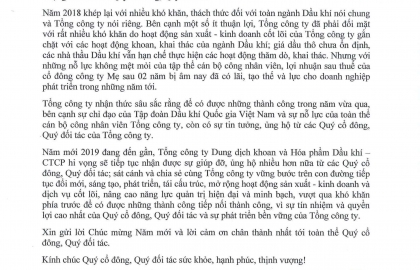 THƯ CHÚC MỪNG NĂM MỚI 2019 TỚI CÁC CỔ ĐÔNG VÀ ĐỐI TÁC